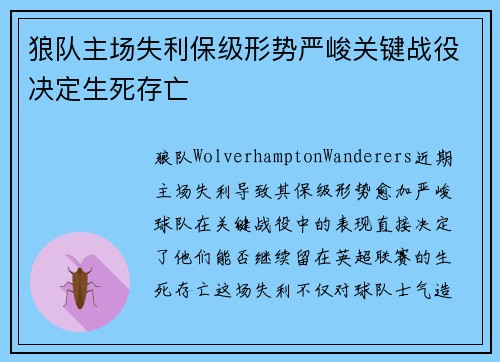 狼队主场失利保级形势严峻关键战役决定生死存亡